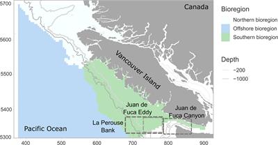 Quantifying the effects of extreme events and oceanographic variability on the spatiotemporal biomass and distribution of two key euphausiid prey species